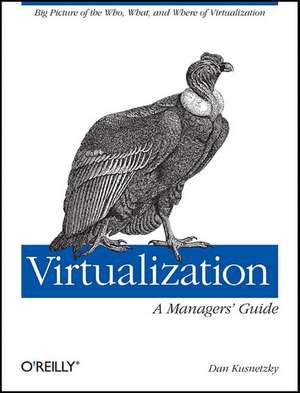 Virtualization – A Managers Guide de Dan Kusnetzky