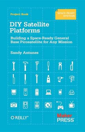 DIY Satellite Platforms de Sandy Antunes