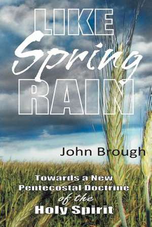 Like Spring Rain de John Brough