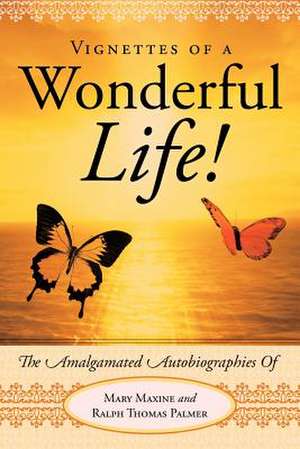 Vignettes of a Wonderful Life! de Ralph Palmer