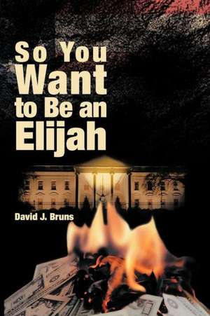 So You Want to Be an Elijah de David J. Bruns