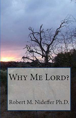 Why Me Lord?: The Epic Story of an Advanced Civilization and Its Encounter with Earth de Robert M. Nideffer Ph. D.