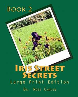 Iris Street Secrets: Large Print Edition de Rose Carlin