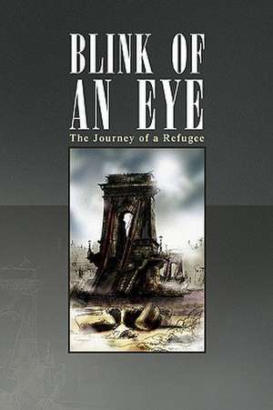 Blink of an Eye de Karl J. Landesz