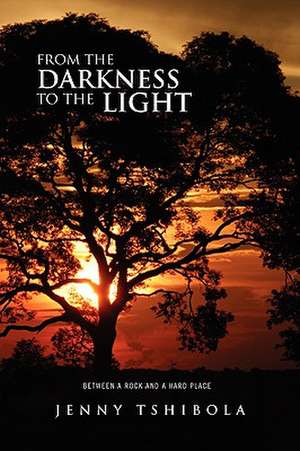 From the Darkness to the Light de Jenny Tshibola