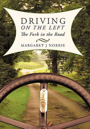 Driving on the Left de Margaret J. Norrie