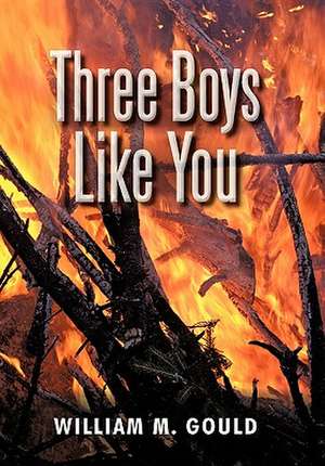 Three Boys Like You de William M. Gould