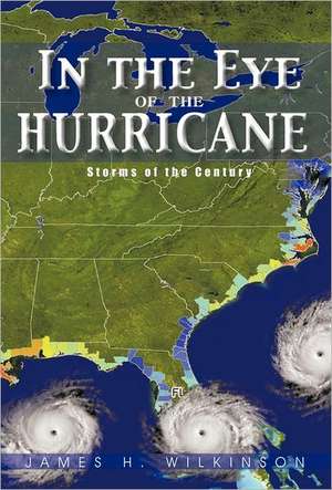 In the Eye of the Hurricane de James H. Wilkinson