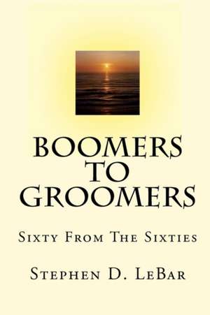 Boomers to Groomers de Stephen D. Lebar