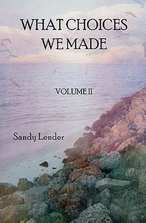 What Choices We Made de Sandy Lender