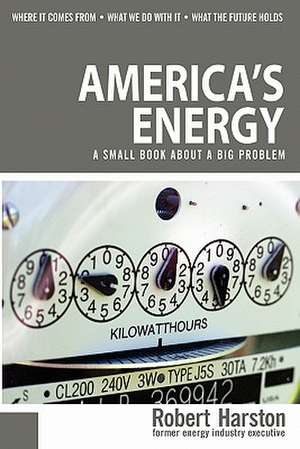 America's Energy de Robert Harston