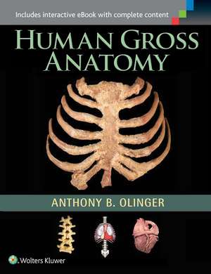 Human Gross Anatomy de Anthony B. Olinger