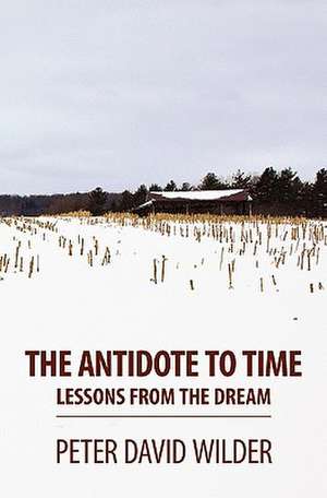 The Antidote to Time de Peter David Wilder