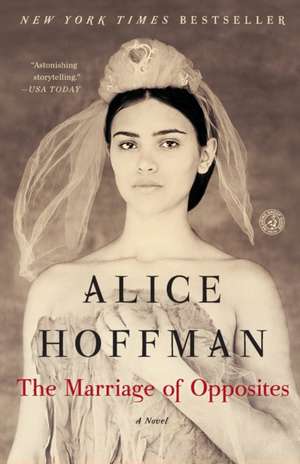 The Marriage of Opposites de Alice Hoffman