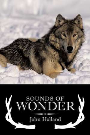 Sounds of Wonder de John Holland