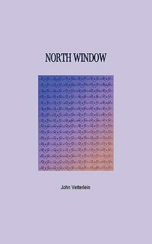 North Window de John Vetterlein