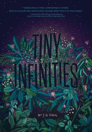 Tiny Infinities de J H Diehl