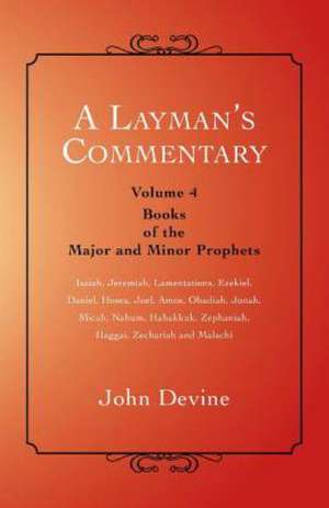A Layman's Commentary de John Devine