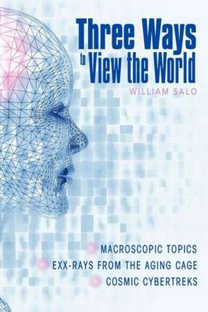 Three Ways to View the World de William Salo