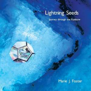 Lightning Seeds de Marie J. Foster