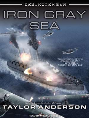 Iron Gray Sea de Taylor Anderson