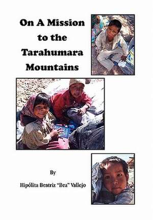 On A Mission to the Tarahumara Mountains de Hipólita Beatriz "Bea" Vallejo