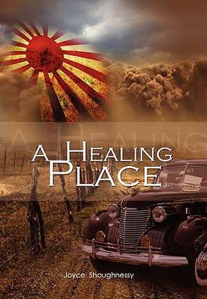 A Healing Place de Joyce Shaughnessy