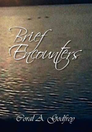 Brief Encounters de Coral A. Godfrey