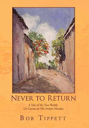 Never to Return de Bob Tippett