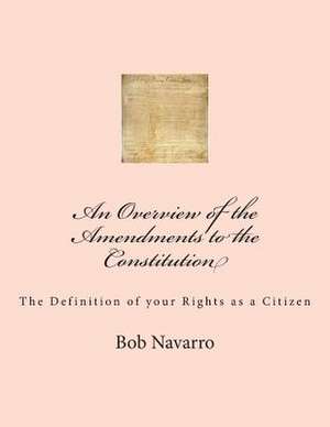 An Overview of the Amendments to the Constitution de Bob Navarro