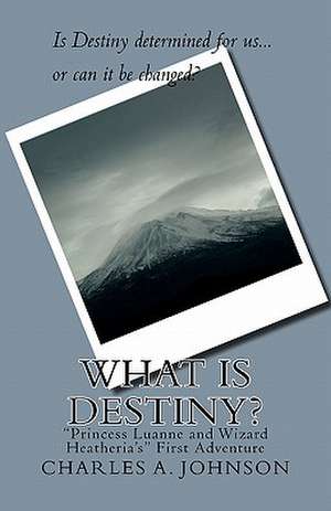 What Is Destiny? de Charles a. Johnson