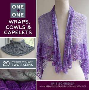 One + One: 29 Projects from Just Two Skeins de Iris Schreier