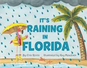 It's Raining in Florida de Erin Rovin