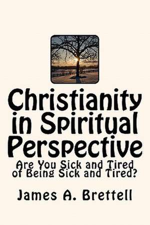 Christianity in Spiritual Perspective de James A. Brettell