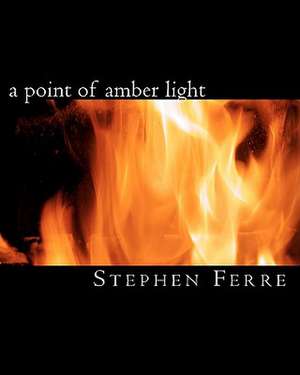 A Point of Amber Light de Stephen Ferre