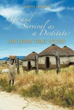 Life and Survival as a Destitute de Sarah Harper