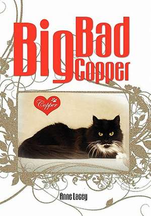 Big Bad Copper de Anne Lacey