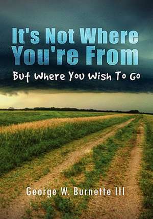 It's Not Where You're from But Where You Wish to Go de George W. Burnette