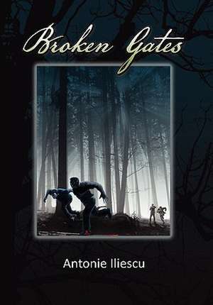 Broken Gates de Antonie Iliescu