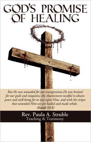 God's Promise of Healing de Rev. Paula A. Struble