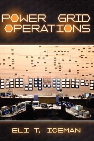 Power Grid Operations de Eli T. Iceman