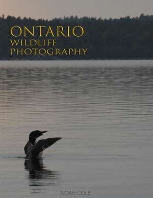 Ontario Wildlife Photography de Noah Cole