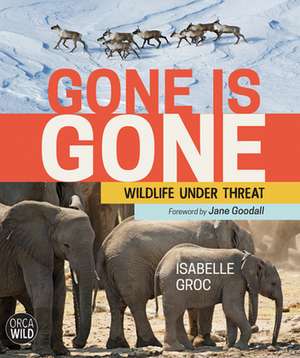 Gone Is Gone de Isabelle Groc