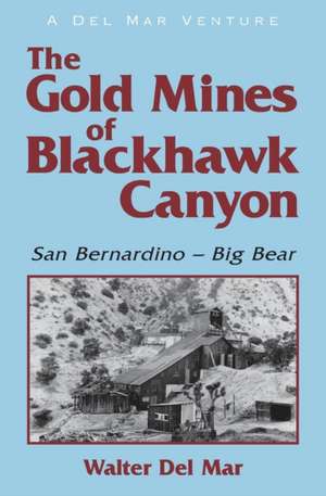 The Gold Mines of Blackhawk Canyon: San Bernardino - Big Bear de Walter Del Mar