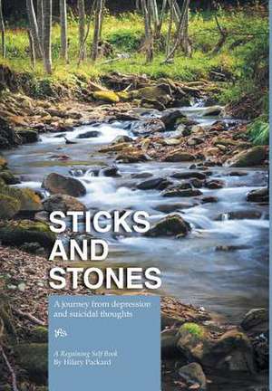 Sticks and Stones - A Journey from Depression and Suicidal Thoughts de Hilary Packard