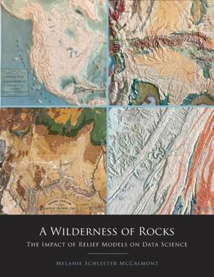 A Wilderness of Rocks: The Impact of Relief Models on Data Science de Melanie Schleeter McCalmont