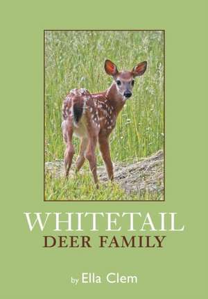 Whitetail Deer Family de Ella Clem