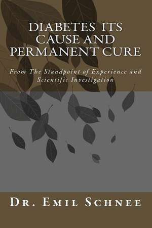 Diabetes Its Cause and Permanent Cure: The Inside Account of Flight 919 and Its Place in the Age of Terror de Dr Emil Schnee