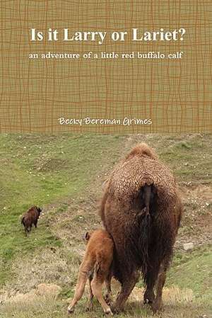 Is It Larry or Lariet? an Adventure of a Little Red Buffalo Calf de Becky Bereman Grimes