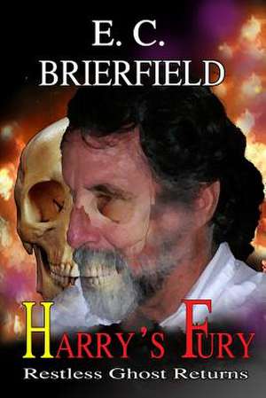 Harry's Fury de E. C. Brierfield